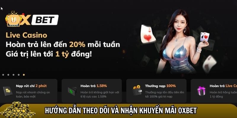 Người chơi thường xuyên update khuyến mãi Oxbet