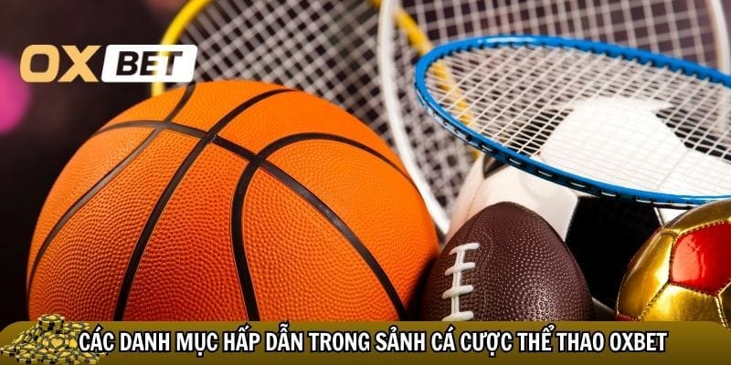 Các danh mục hấp dẫn trong sảnh thể thao Oxbet