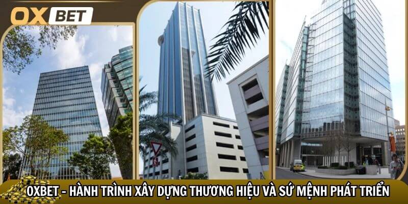 Hành trình xây dựng thương hiệu Oxbet