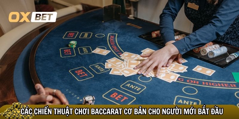 Tham khảo các chiến thuật chơi Baccarat đơn giản