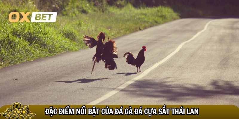 Đặc điểm nổi bật của đá gà đá cựa sắt Thái Lan