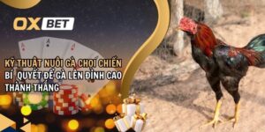 kỹ thuật nuôi gà chọi chiến